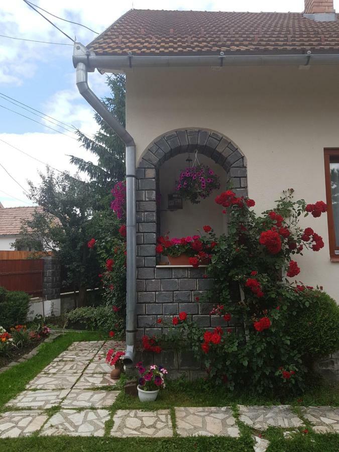 Rita Vendégház Gyergyócsomafalva Kültér fotó